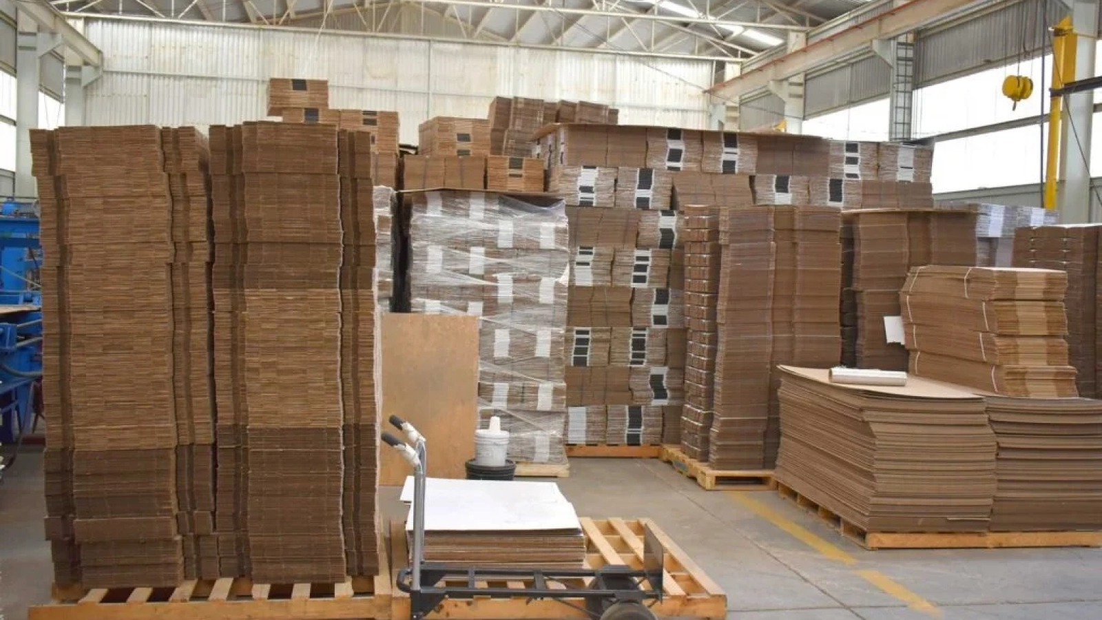 WhatsApp Image 2025-09-02 at 19.32.08 (1)